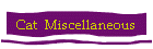 Cat  Miscellaneous