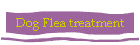 Dog Flea treatment