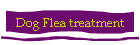 Dog Flea treatment