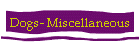 Dogs- Miscellaneous